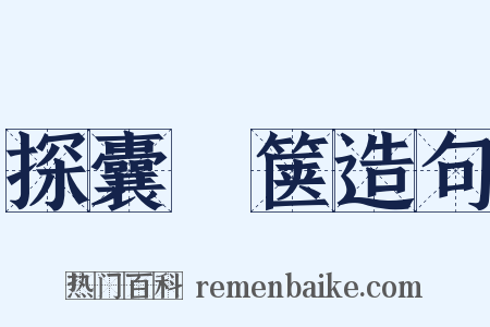 探囊胠箧造句是什么意思的图片